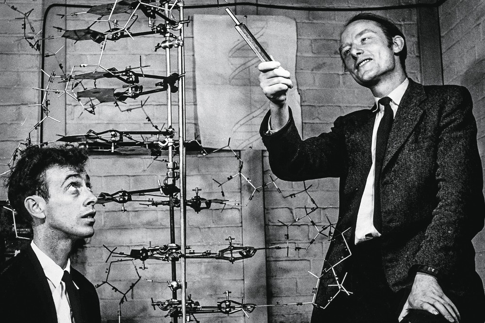 60 Anos da Descoberta da Estrutura da Molécula de DNA - Dupla hélice