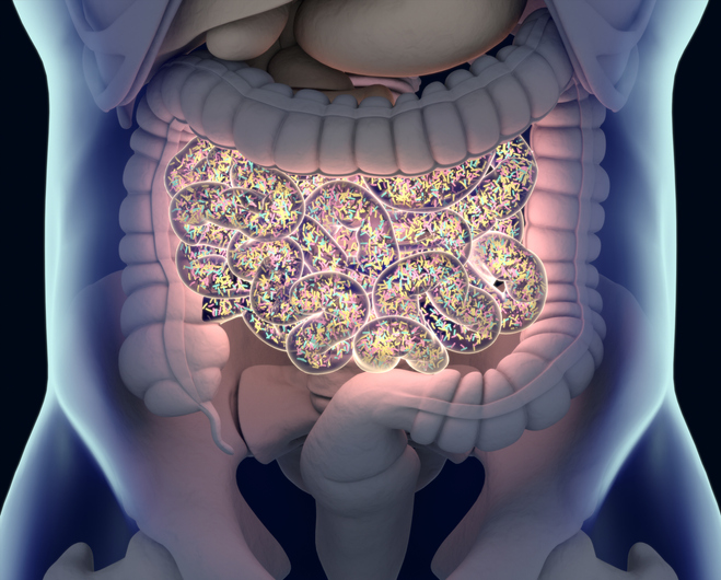 Microbioma intestinal e câncer de próstata