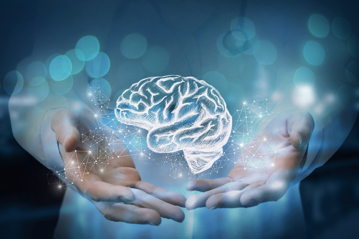 MTHFR e função cerebral