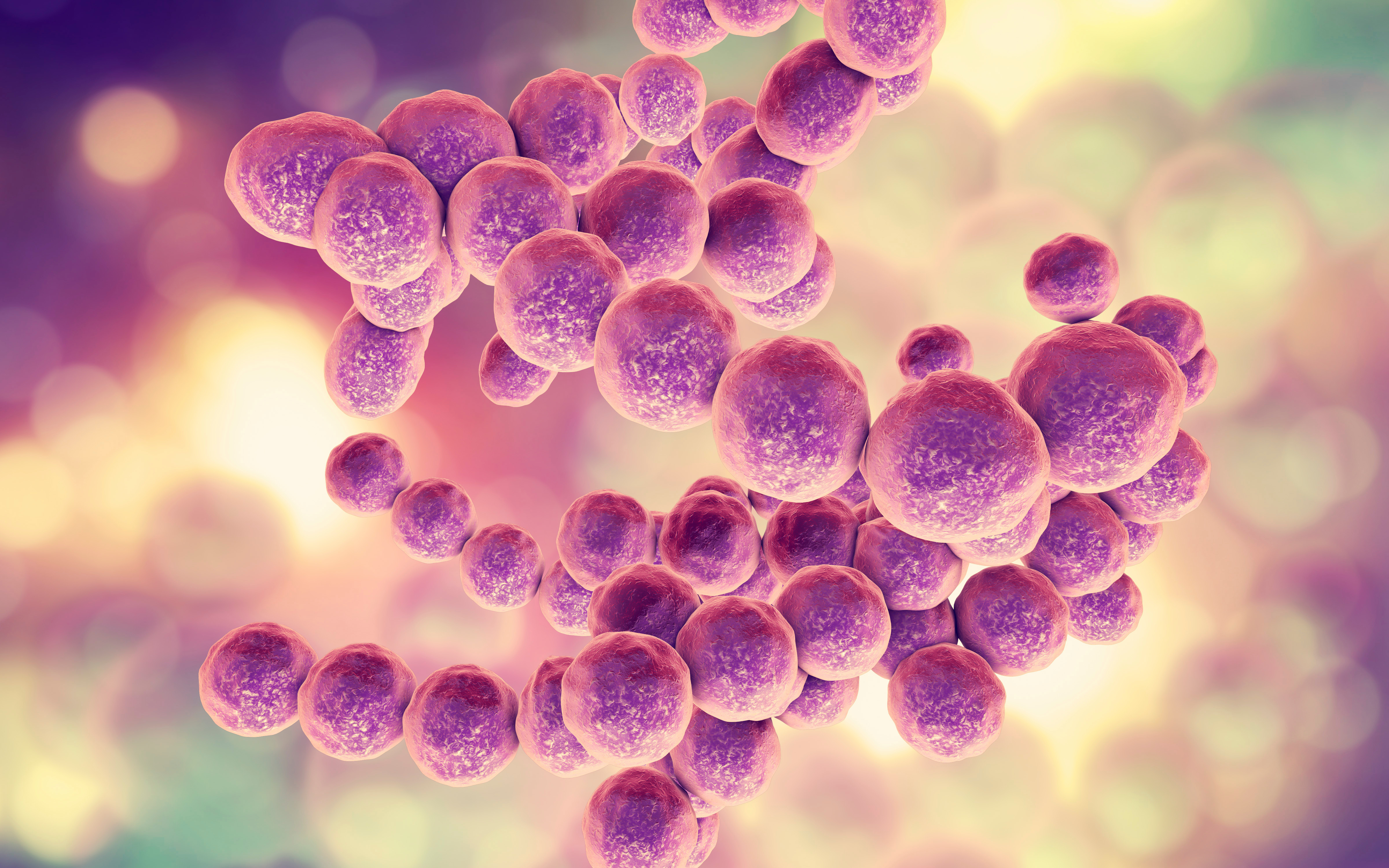 Fusobacterium e câncer colorretal