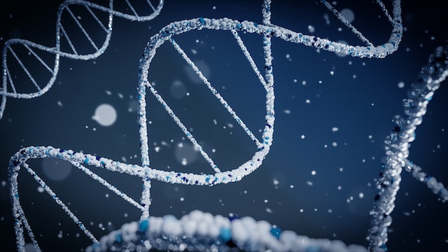 70 anos da descoberta da Dupla Hélice do DNA